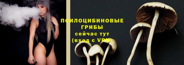 сатива Алексеевка