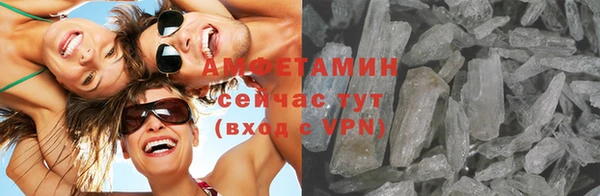 сатива Алексеевка